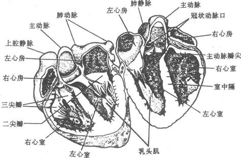 心底位置